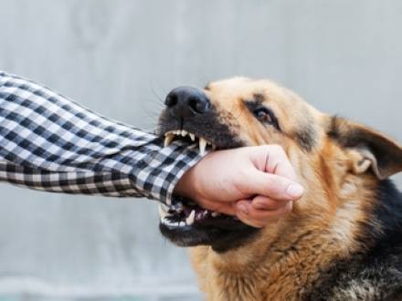 Sierra Blanca, TX personal injury lawyer